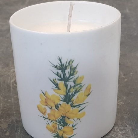 ceramic candle pot, gorse fragrance, soy wax, eco
