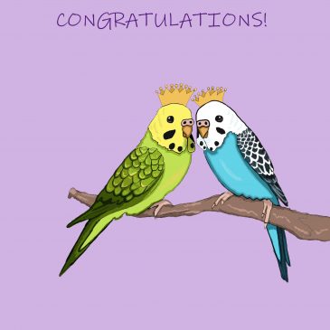 GREETINGS CARDS MADE BY MABEL BUDGIES, SAME SEX WEDDING DAY
