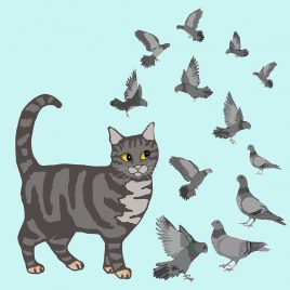 GREETINGS CARD MADE BY MABEL CAT AMONG THE PIGEONS
