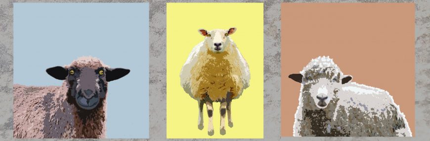 websiste montage sheep images greetings cards