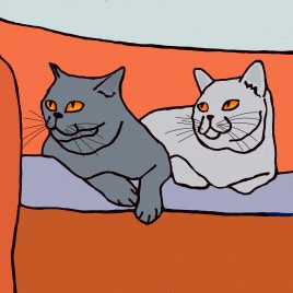 GREETINGS CARD MADE BY MABEL - GRAPHI CARDS - TWO CATS ON A SOFA